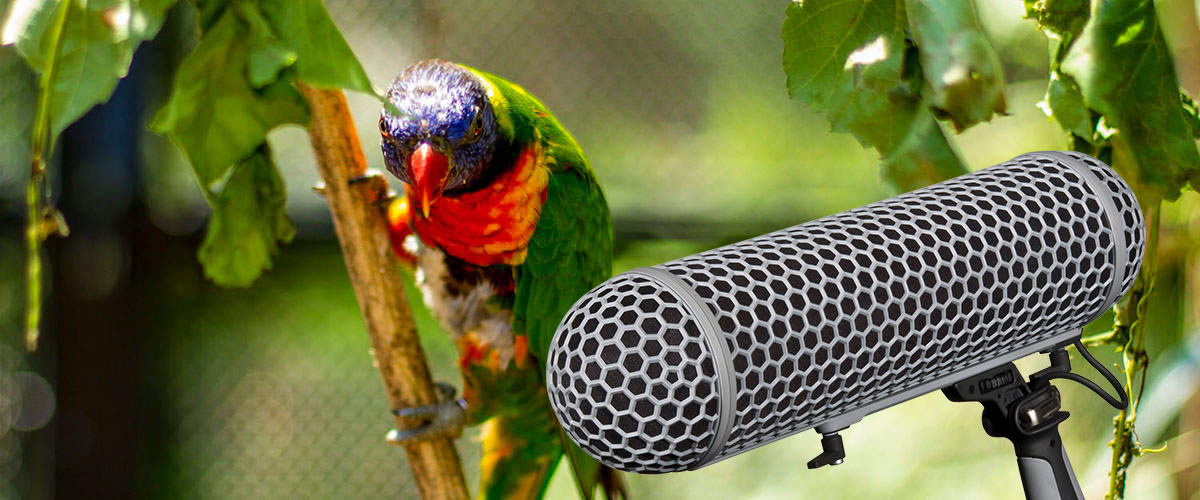 field recordings